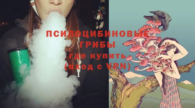 Галлюциногенные грибы Magic Shrooms  купить закладку  Пенза 